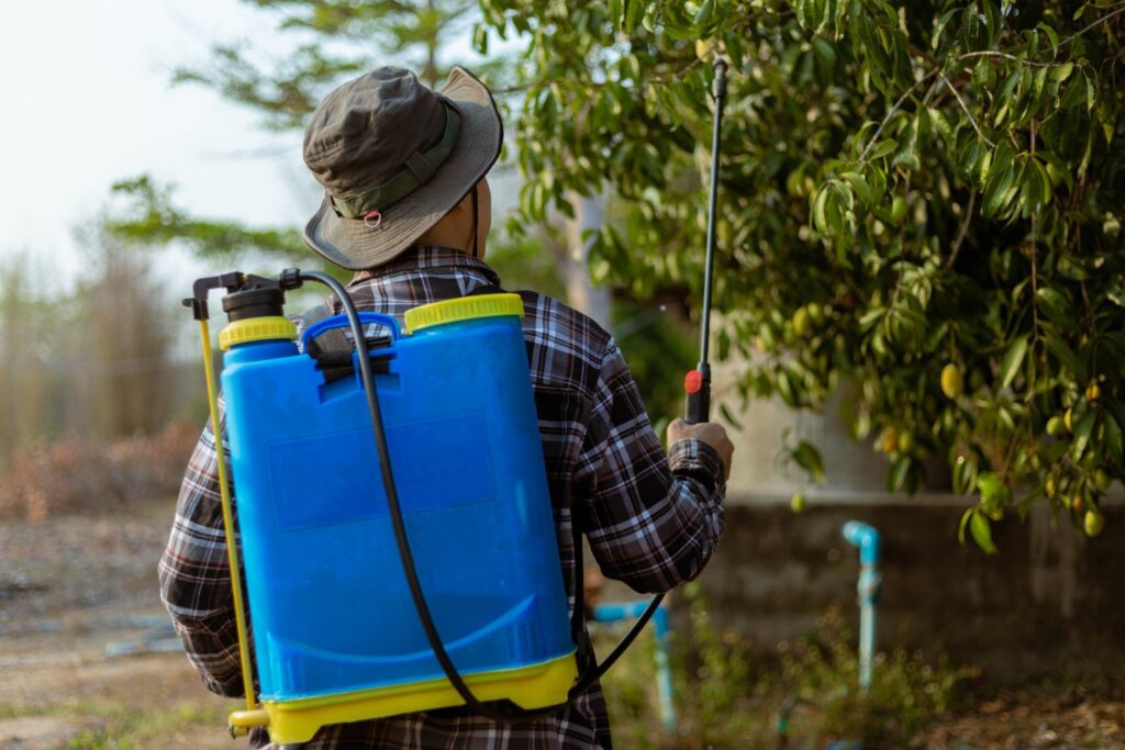 tratamiento fitosanitario con endoterapia en árbol urbano